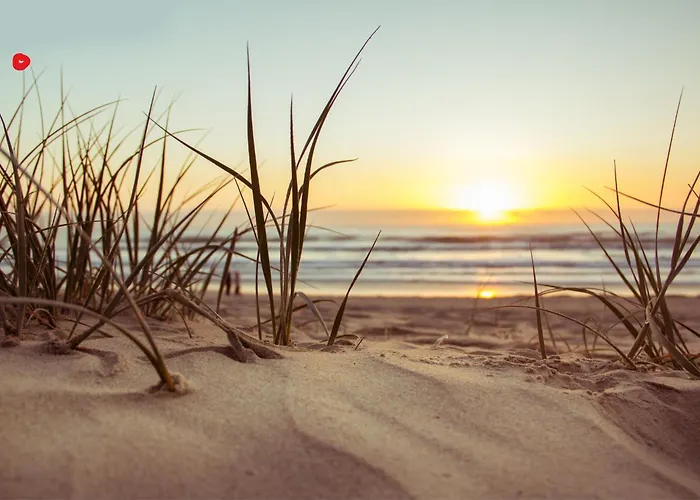 Tatil Evi Jardin-marin-ajaccio