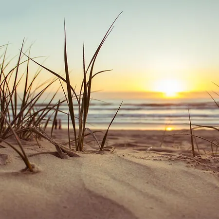 Holiday home Jardin-marin-ajaccio